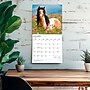 2027 BrownTrout Chevaux 12" x 12" Monthly Wall Calendar (9798330715077)~#|#~sp320815983_sc7