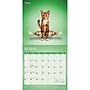 2027 BrownTrout Chats de Yoga 12" x 12" Monthly Wall Calendar (9798330715053)~#|#~sp320815991_sc7