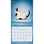 2027 BrownTrout Chats de Yoga 12" x 12" Monthly Wall Calendar (9798330715053)~#|#~sp320815992_sc7