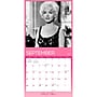 2027 BrownTrout Marilyn Monroe 12" x 12" Monthly Wall Calendar (9798330715169)~#|#~sp320816002_sc7