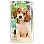 2027-2028 BrownTrout I Love Puppies 3.5" x 6.5" Monthly Planner (9798330710232)~#|#~sp320816029_sc7