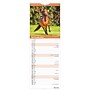 2027 BrownTrout Horse Lovers 5.7" x 16.5" Monthly Slimline Wall Calendar (9798330710294)~#|#~sp320816072_sc7