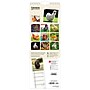 2027 BrownTrout Chickens 5.7" x 16.5" Monthly Slimline Wall Calendar (9798330710287)~#|#~sp320816101_sc7