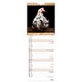 2027 BrownTrout Chickens 5.7" x 16.5" Monthly Slimline Wall Calendar (9798330710287)~#|#~sp320816103_sc7