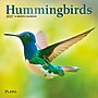 2027 BrownTrout Hummingbirds 7" x 7" Monthly Wall Calendar (9798330713677)~#|#~sp320816187_sc7