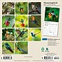 2027 BrownTrout Hummingbirds 7" x 7" Monthly Wall Calendar (9798330713677)~#|#~sp320816188_sc7