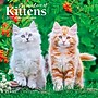 2027 BrownTrout For the Love of Kittens 7" x 7" Monthly Wall Calendar (9798330713745)~#|#~sp320816197_sc7