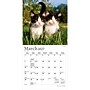 2027 BrownTrout For the Love of Kittens 7" x 7" Monthly Wall Calendar (9798330713745)~#|#~sp320816199_sc7