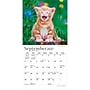 2027 BrownTrout For the Love of Kittens 7" x 7" Monthly Wall Calendar (9798330713745)~#|#~sp320816200_sc7