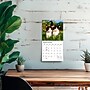 2027 BrownTrout For the Love of Kittens 7" x 7" Monthly Wall Calendar (9798330713745)~#|#~sp320816201_sc7