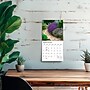 2027 BrownTrout Gorgeous Gardens 7" x 7" Monthly Wall Calendar (9798330714940)~#|#~sp320816221_sc7