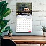 2027 BrownTrout Canadian Geographic Bears 12" x 12" Monthly Wall Calendar (9781525617942)~#|#~sp320816241_sc7