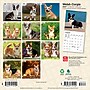2027 BrownTrout Welsh Corgis 7" x 7" Monthly Wall Calendar (9798330710102)~#|#~sp320816248_sc7