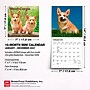 2027 BrownTrout Welsh Corgis 7" x 7" Monthly Wall Calendar (9798330710102)~#|#~sp320816253_sc7