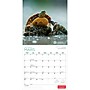 2027 BrownTrout Canadian Geographic La faune 12" x 12" Monthly Wall Calendar (9781525617928)~#|#~sp320816259_sc7