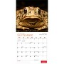 2027 BrownTrout Canadian Geographic La faune 12" x 12" Monthly Wall Calendar (9781525617928)~#|#~sp320816260_sc7