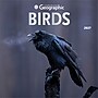 2027 BrownTrout Canadian Geographic Birds 12" x 12" Monthly Wall Calendar (9781525617195)~#|#~sp320816267_sc7