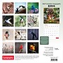 2027 BrownTrout Canadian Geographic Birds 12" x 12" Monthly Wall Calendar (9781525617195)~#|#~sp320816268_sc7