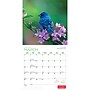 2027 BrownTrout Canadian Geographic Birds 12" x 12" Monthly Wall Calendar (9781525617195)~#|#~sp320816269_sc7
