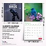 2027 BrownTrout Canadian Geographic Birds 12" x 12" Monthly Wall Calendar (9781525617195)~#|#~sp320816273_sc7