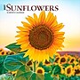 2027 BrownTrout Sunflowers 7" x 7" Monthly Wall Calendar (9798330709601)~#|#~sp320816309_sc7