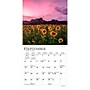 2027 BrownTrout Sunflowers 7" x 7" Monthly Wall Calendar (9798330709601)~#|#~sp320816312_sc7