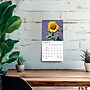 2027 BrownTrout Sunflowers 7" x 7" Monthly Wall Calendar (9798330709601)~#|#~sp320816313_sc7