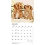 2027 BrownTrout Chiots 12" x 12" Monthly Wall Calendar (9798330715091)~#|#~sp320816321_sc7