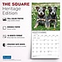2027 BrownTrout Chiots 12" x 12" Monthly Wall Calendar (9798330715091)~#|#~sp320816324_sc7
