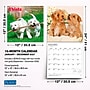 2027 BrownTrout Chiots 12" x 12" Monthly Wall Calendar (9798330715091)~#|#~sp320816325_sc7
