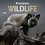 2027 BrownTrout Canadian Geographic Wildlife 12" x 12" Monthly Wall Calendar (9781525617881)~#|#~sp320816359_sc7