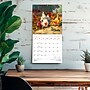2027 BrownTrout Canadian Impressionists AGO 12" x 12" Monthly Wall Calendar (9781525617454)~#|#~sp320816384_sc7