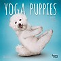 2027 BrownTrout Yoga Puppies 7" x 7" Monthly Wall Calendar (9798330713578)~#|#~sp320816390_sc7