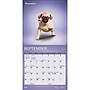 2027 BrownTrout Yoga Puppies 7" x 7" Monthly Wall Calendar (9798330713578)~#|#~sp320816393_sc7