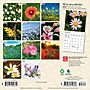 2027 BrownTrout Wildflowers 7" x 7" Monthly Wall Calendar (9798330709618)~#|#~sp320816412_sc7