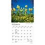 2027 BrownTrout Wildflowers 7" x 7" Monthly Wall Calendar (9798330709618)~#|#~sp320816413_sc7