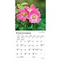 2027 BrownTrout Wildflowers 7" x 7" Monthly Wall Calendar (9798330709618)~#|#~sp320816414_sc7