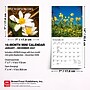 2027 BrownTrout Wildflowers 7" x 7" Monthly Wall Calendar (9798330709618)~#|#~sp320816417_sc7