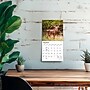 2027 BrownTrout White Tailed Deer 7" x 7" Monthly Wall Calendar (9798330709854)~#|#~sp320816425_sc7