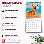 2027 BrownTrout White Tailed Deer 7" x 7" Monthly Wall Calendar (9798330709854)~#|#~sp320816426_sc7