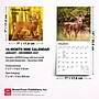 2027 BrownTrout White Tailed Deer 7" x 7" Monthly Wall Calendar (9798330709854)~#|#~sp320816427_sc7