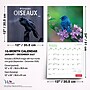 2027 BrownTrout Canadian Geographic Oiseaux 12" x 12" Monthly Wall Calendar (9781525617638)~#|#~sp320816437_sc7