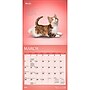 2027 BrownTrout Yoga Kittens 7" x 7" Monthly Wall Calendar (9798330713530)~#|#~sp320816443_sc7
