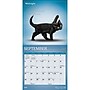 2027 BrownTrout Yoga Kittens 7" x 7" Monthly Wall Calendar (9798330713530)~#|#~sp320816444_sc7