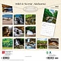 2027 BrownTrout Alabama Wild & Scenic 12" x 12" Monthly Wall Calendar (9798330710362)~#|#~sp320816457_sc7