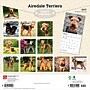 2027 BrownTrout Airedale Terriers 12" x 12" Monthly Wall Calendar (9798330714049)~#|#~sp320816471_sc7