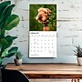 2027 BrownTrout Airedale Terriers 12" x 12" Monthly Wall Calendar (9798330714049)~#|#~sp320816474_sc7