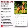 2027 BrownTrout Airedale Terriers 12" x 12" Monthly Wall Calendar (9798330714049)~#|#~sp320816475_sc7