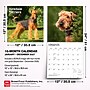 2027 BrownTrout Airedale Terriers 12" x 12" Monthly Wall Calendar (9798330714049)~#|#~sp320816476_sc7