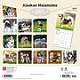 2027 BrownTrout Alaskan Malamutes 12" x 12" Monthly Wall Calendar (9798330712168)~#|#~sp320816484_sc7
